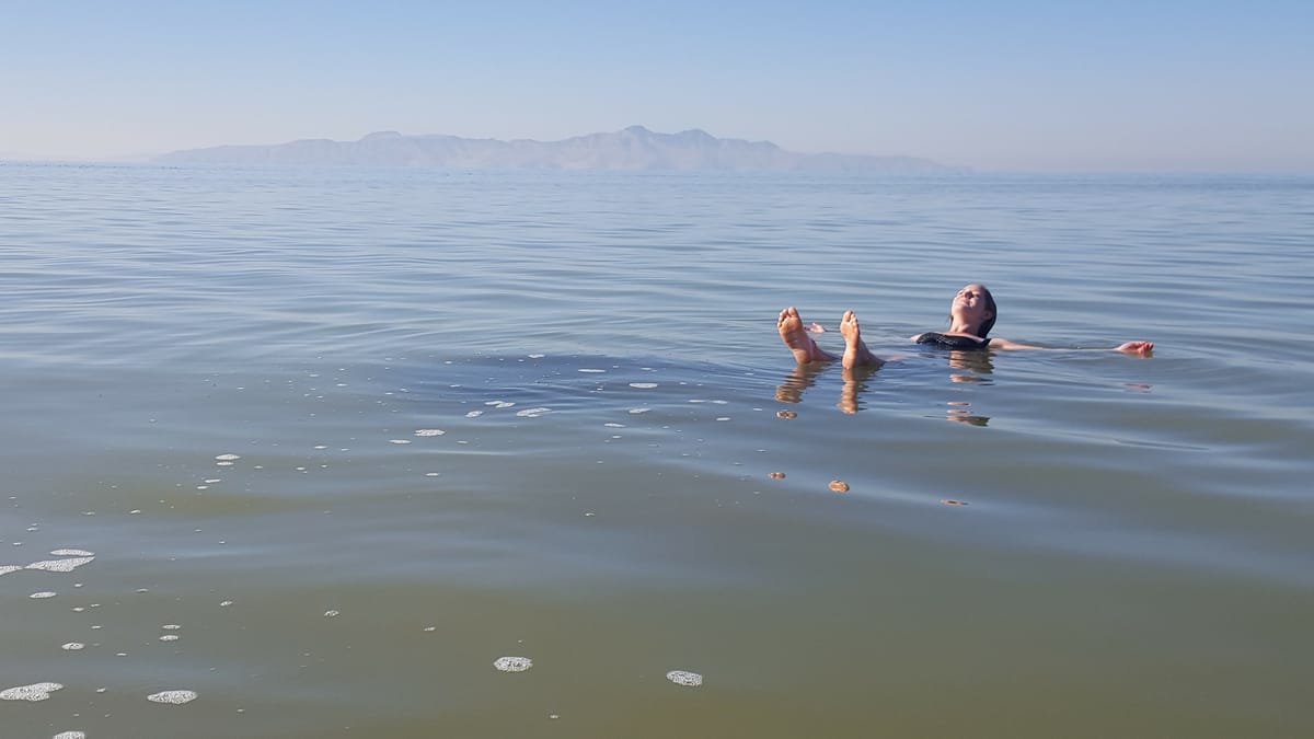 Floating in calm water with distant mountains on the horizon.